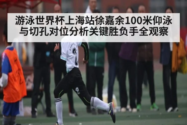 游泳世界杯上海站徐嘉余100米仰泳与切孔对位分析关键胜负手全观察